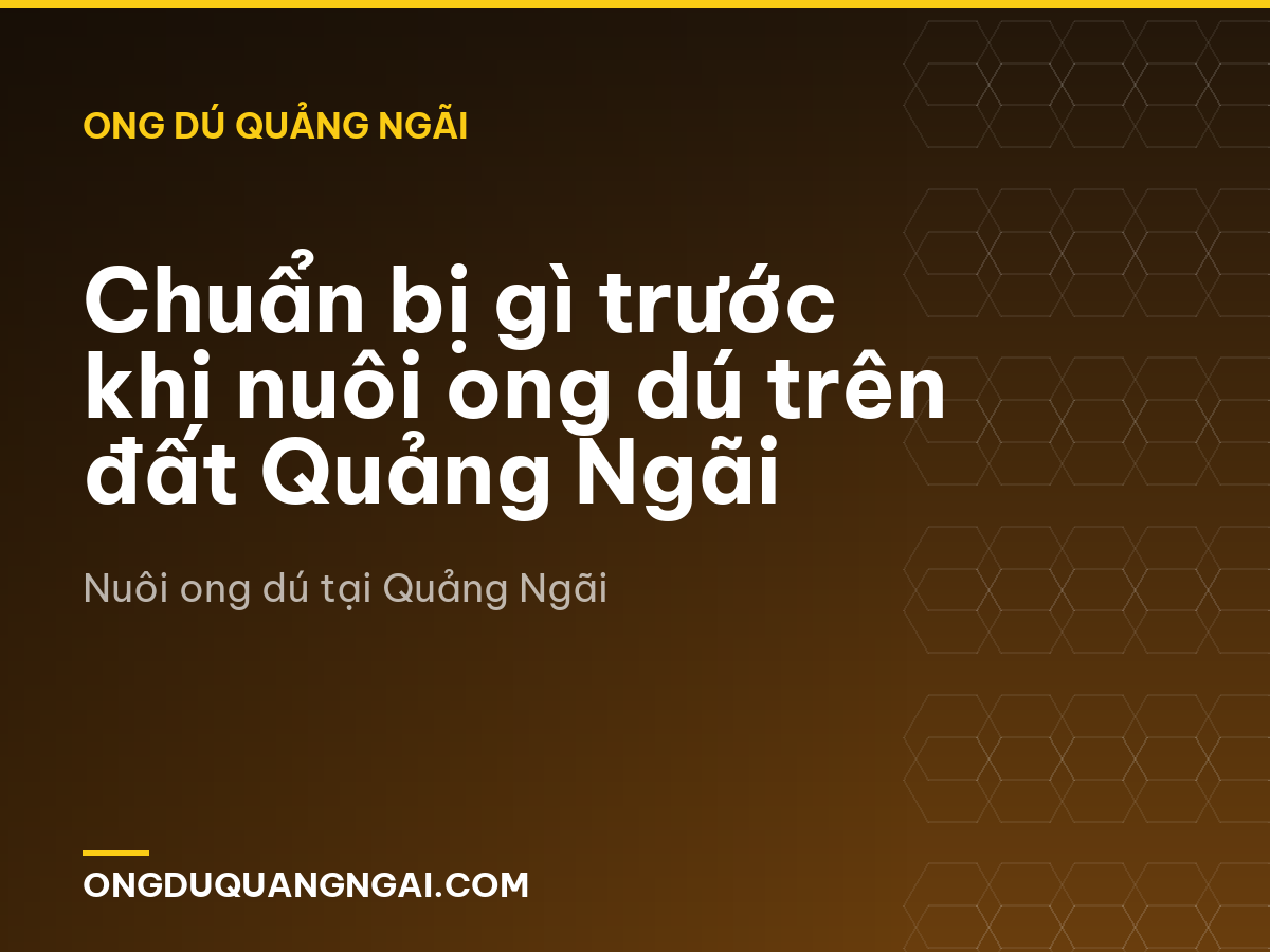 Chuẩn bị gì trước khi nuôi ong dú trên đất Quảng Ngãi