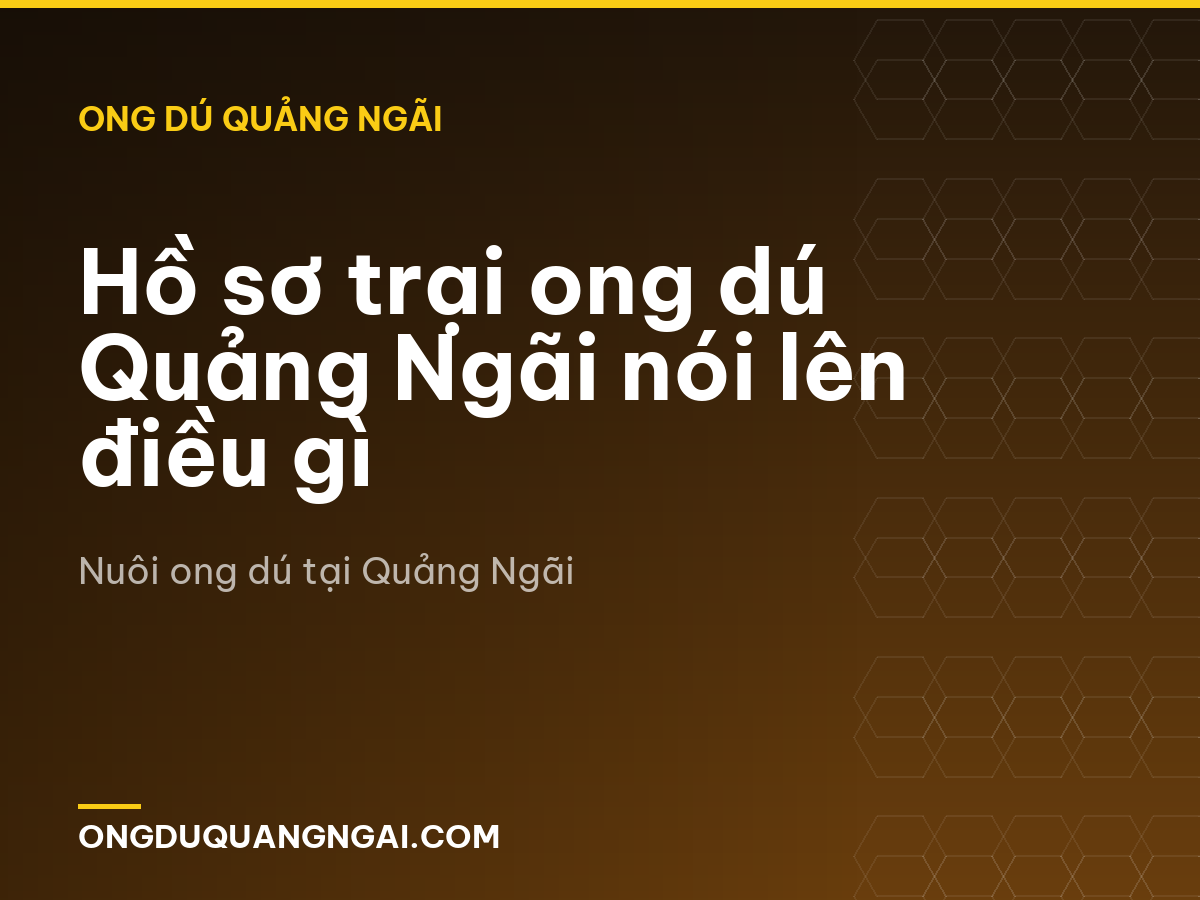 Hồ sơ trại ong dú Quảng Ngãi nói lên điều gì