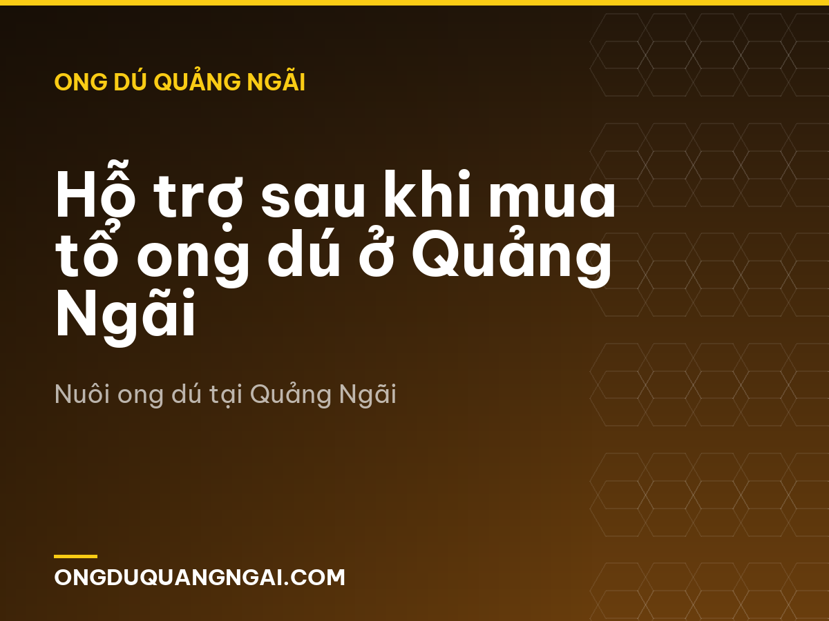 Hỗ trợ sau khi mua tổ ong dú ở Quảng Ngãi