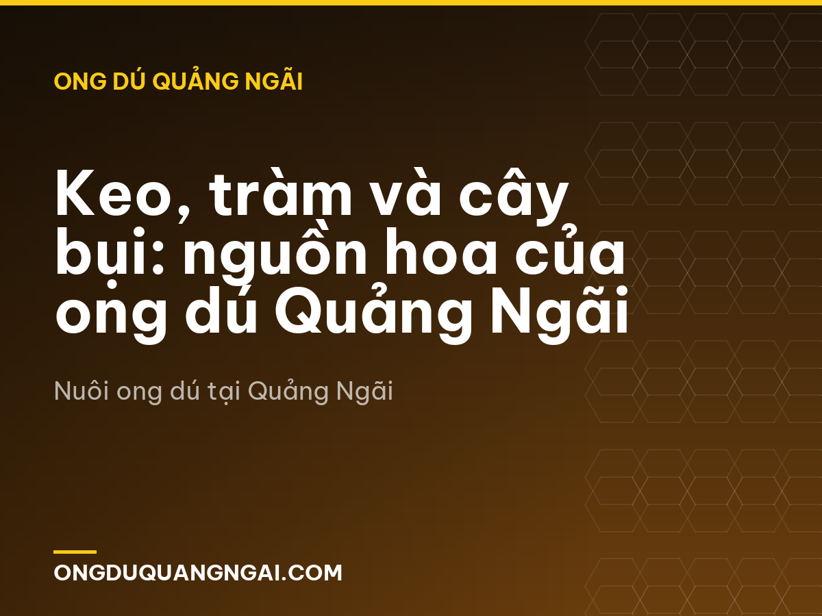 Keo, tràm và cây bụi: nguồn hoa của ong dú Quảng Ngãi