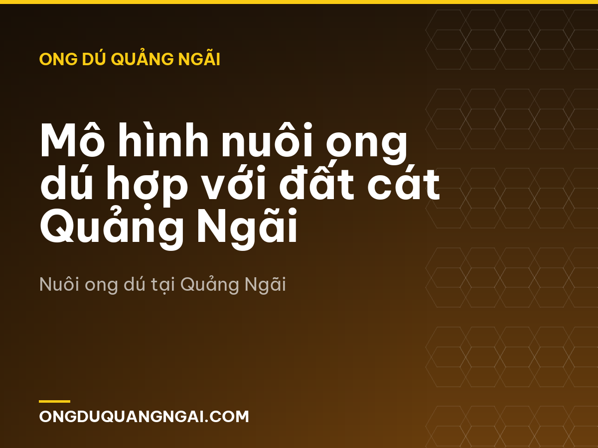Mô hình nuôi ong dú hợp với đất cát Quảng Ngãi