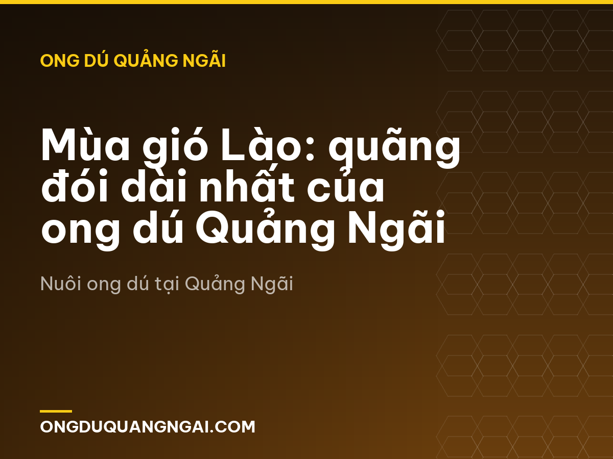 Mùa gió Lào: quãng đói dài nhất của ong dú Quảng Ngãi