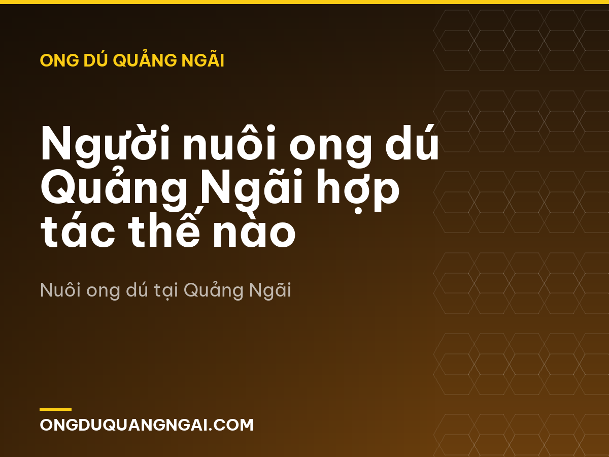 Người nuôi ong dú Quảng Ngãi hợp tác thế nào
