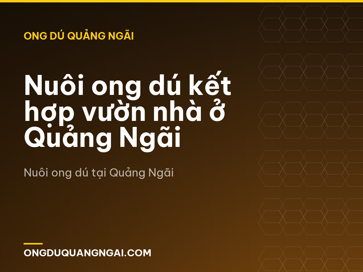 Nuôi ong dú kết hợp vườn nhà ở Quảng Ngãi