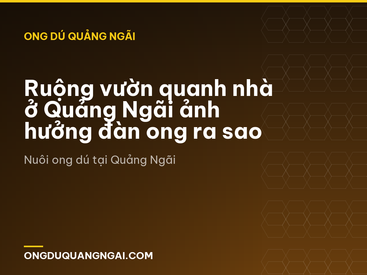 Ruộng vườn quanh nhà ở Quảng Ngãi ảnh hưởng đàn ong ra sao