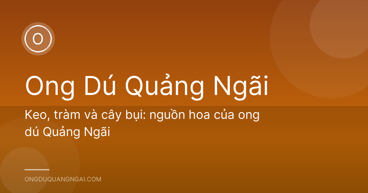 Keo, tràm và cây bụi: nguồn hoa của ong dú Quảng Ngãi