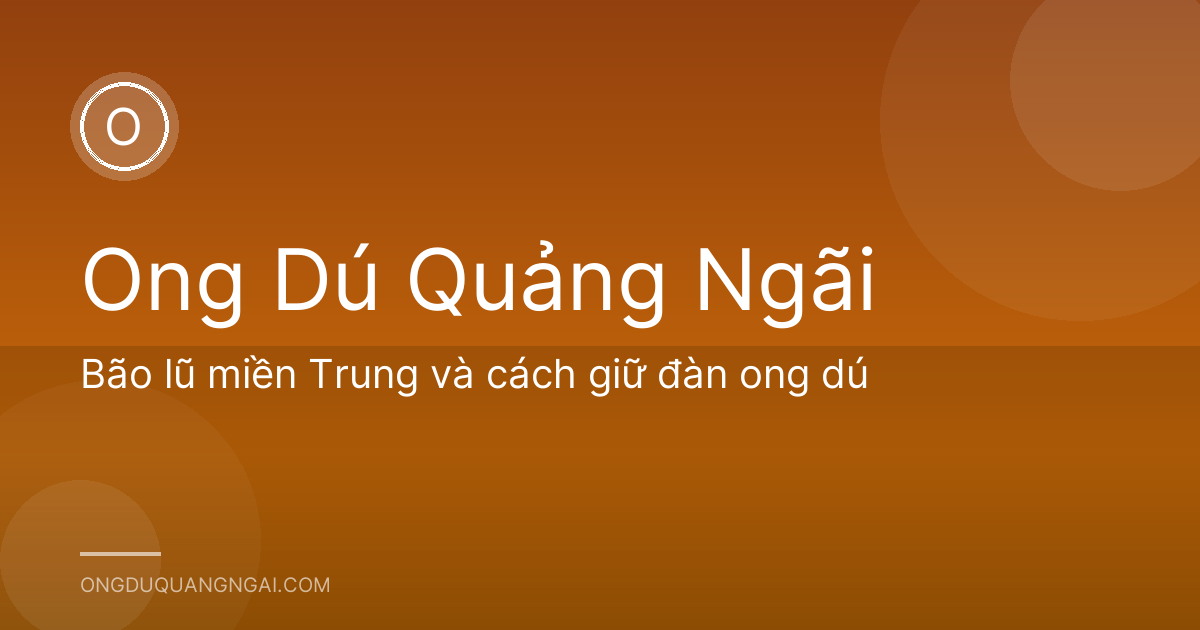 Bão lũ miền Trung và cách giữ đàn ong dú