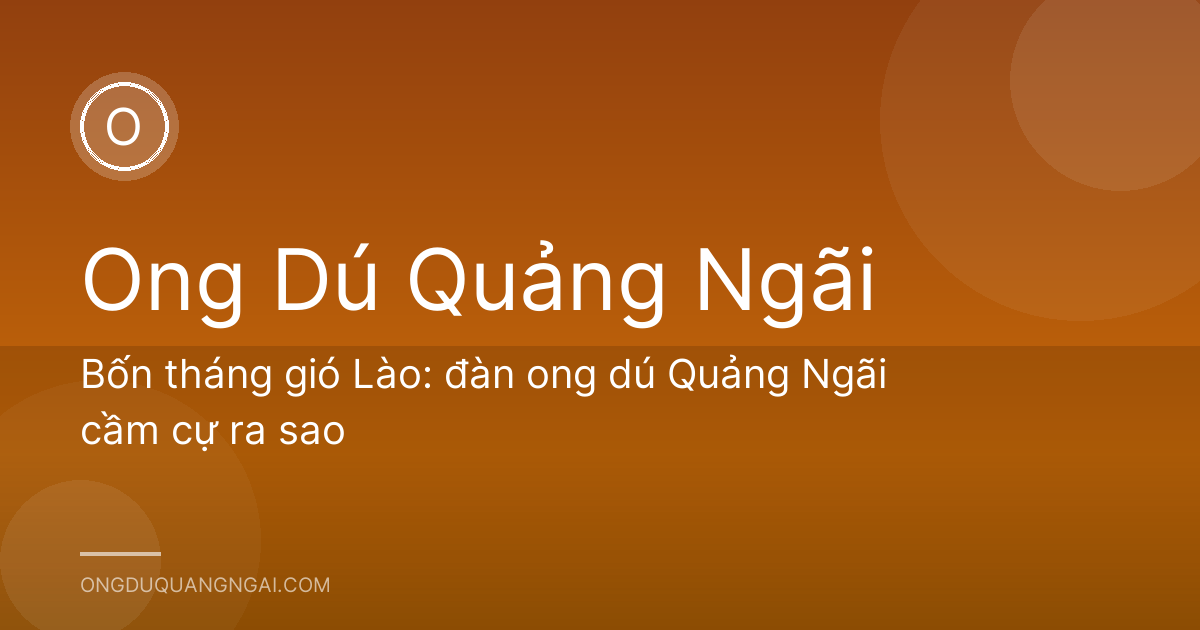 Bốn tháng gió Lào: đàn ong dú Quảng Ngãi cầm cự ra sao