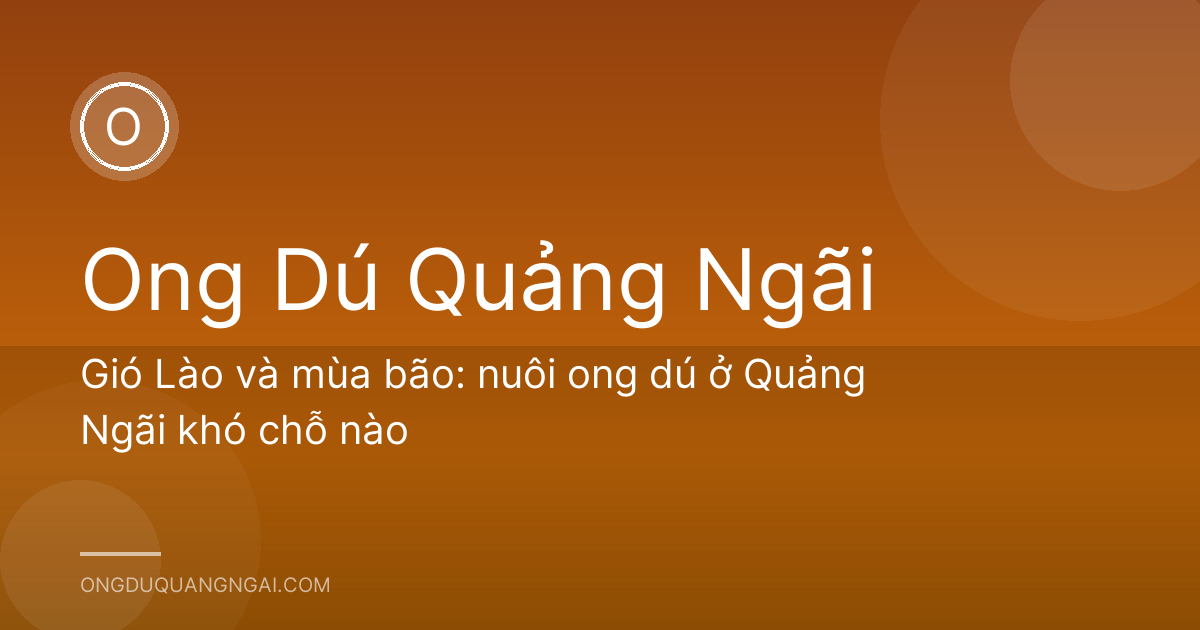 Gió Lào và mùa bão: nuôi ong dú ở Quảng Ngãi khó chỗ nào