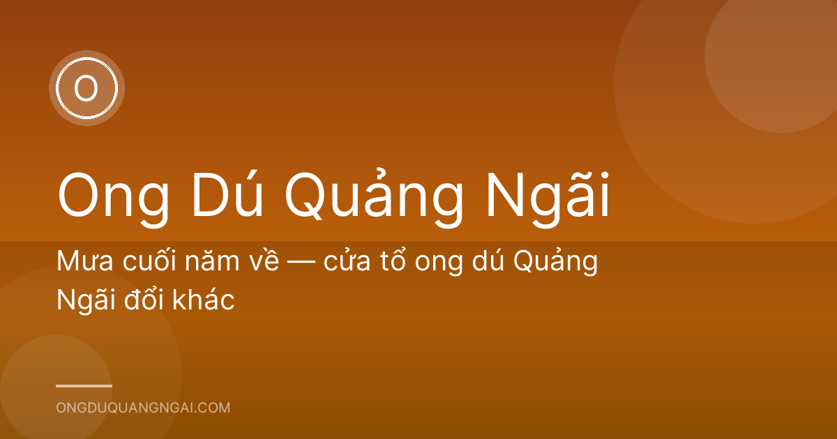Mưa cuối năm về — cửa tổ ong dú Quảng Ngãi đổi khác