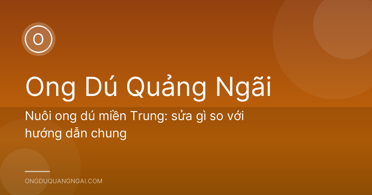Nuôi ong dú miền Trung: sửa gì so với hướng dẫn chung