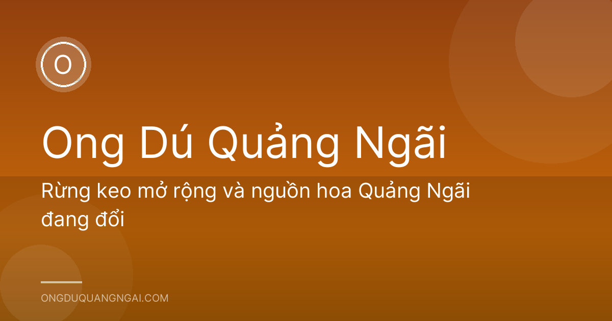 Rừng keo mở rộng và nguồn hoa Quảng Ngãi đang đổi